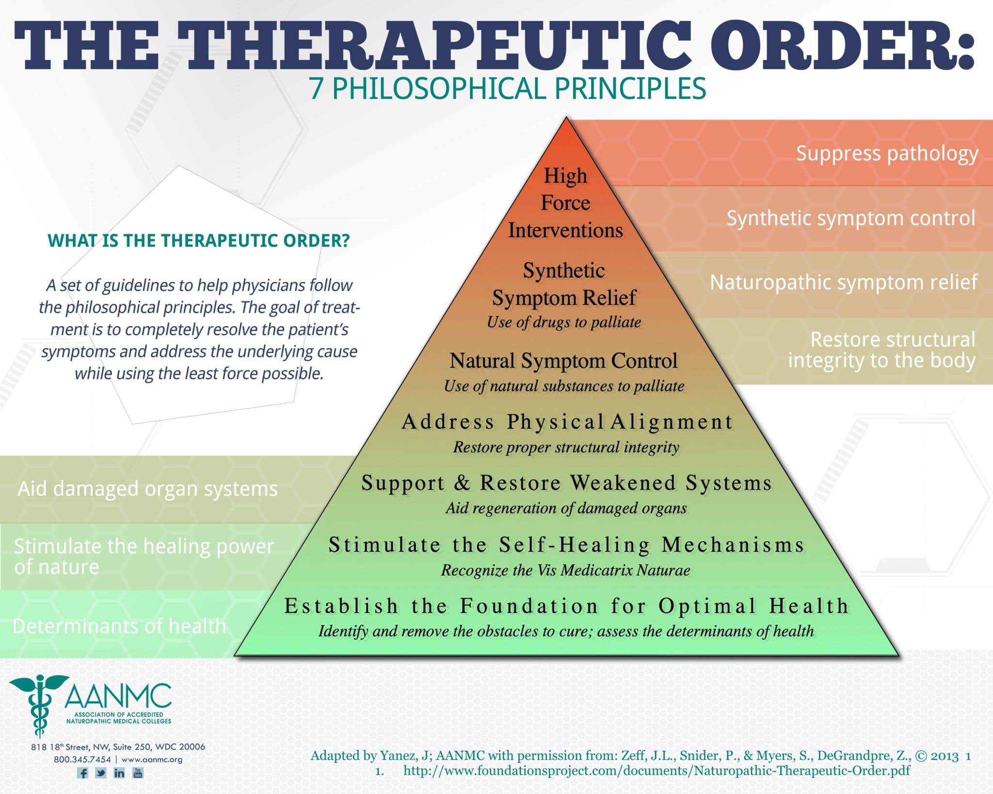 What Is Naturopathic Medicine Learn More Now With Aanmc 