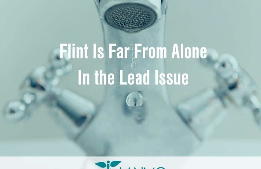 Flint-Water-Crisis - Naturopathic Response