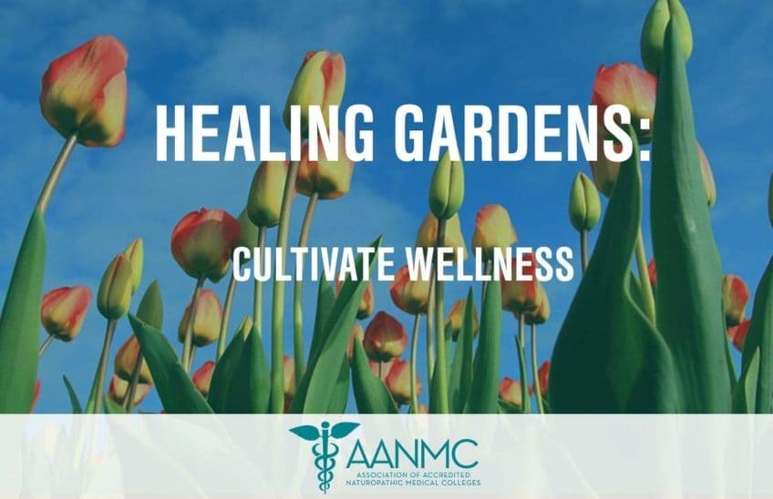 Healing-Gardens-for-Health