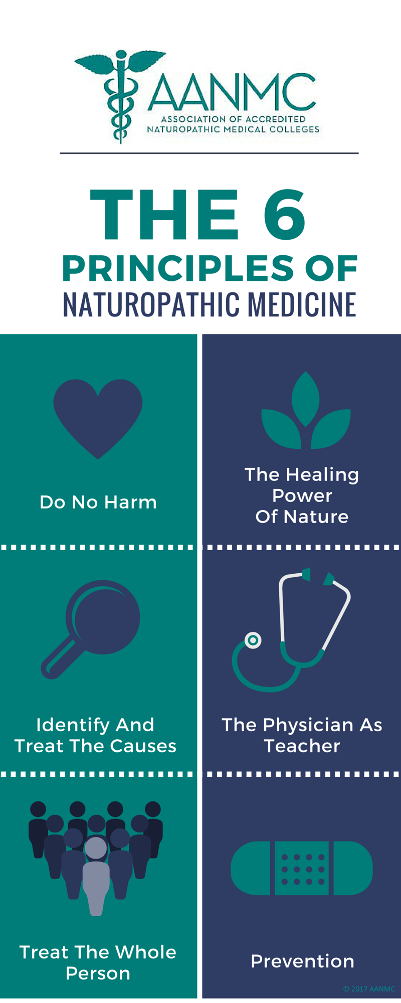 6 principles of naturopathic medicine