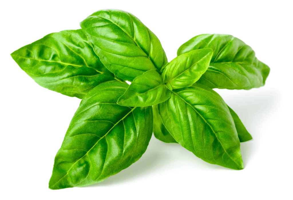 Basil 101 The Naturopathic Kitchen AANMC