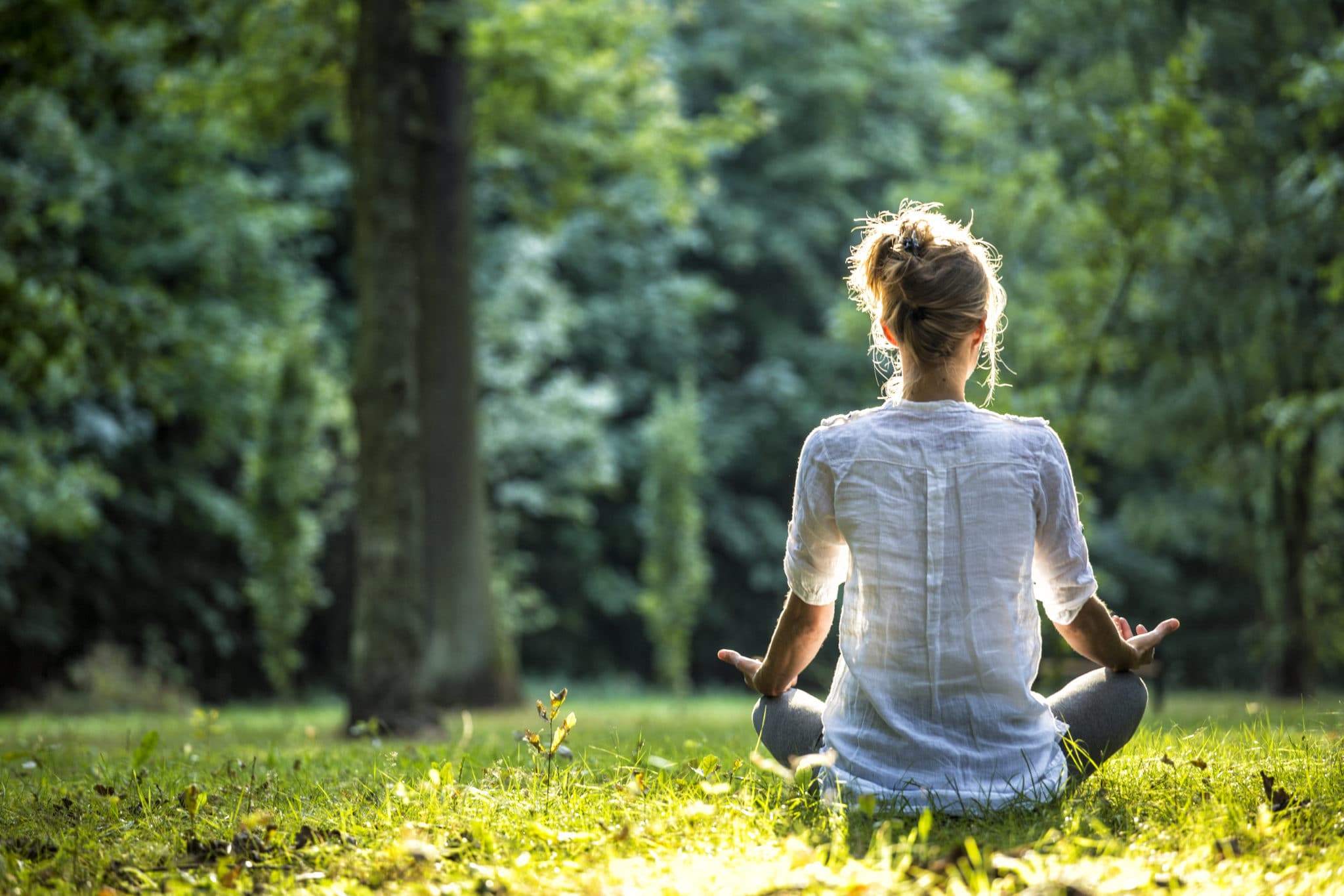 Meditation Practice: Place Your Attention on the Nature of the Mind -  Mindful