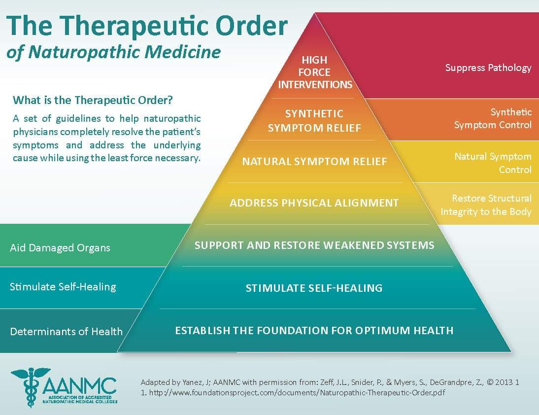 Therapeutic Order of Naturopathic Medicine