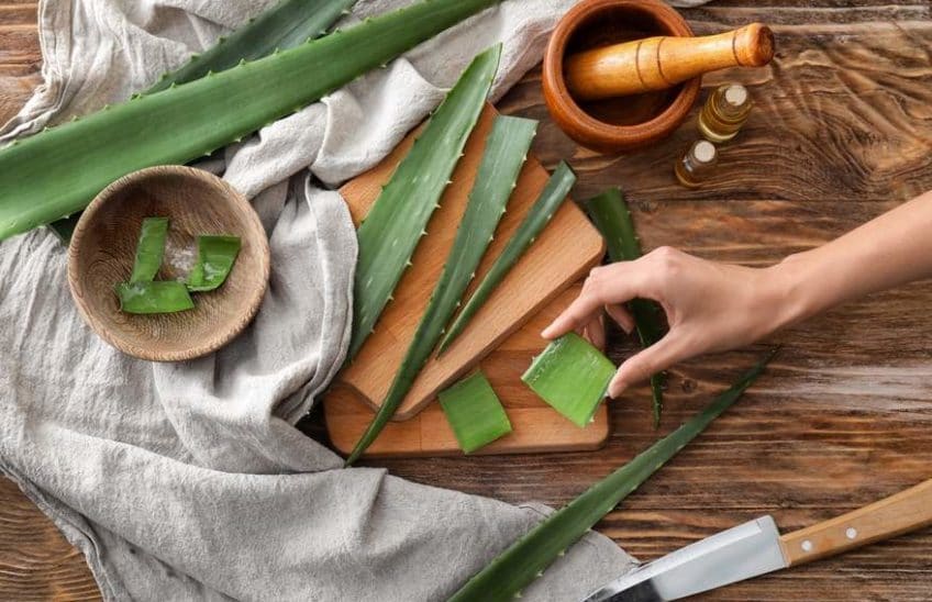 Aloe vera leaves, a mortar an pestle, a knife, and a gray kitchen towel on a wooden surface.