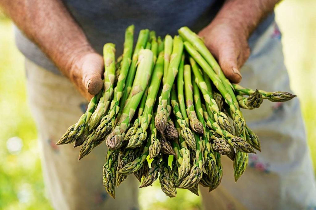 Naturopathic Kitchen: Asparagus