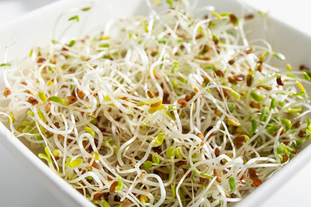 The Health Benefits of Sprouts AANMC