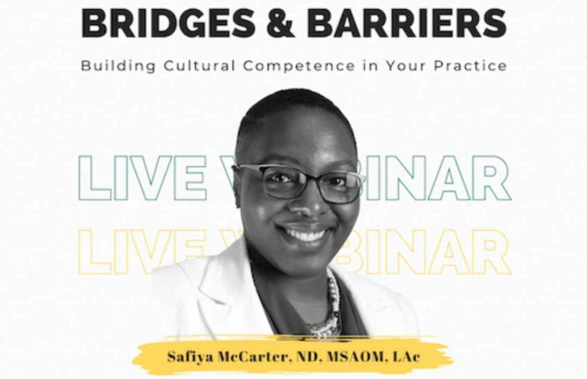 Bridges & Barriers: Building Cultural Competence in Your Practice Banner